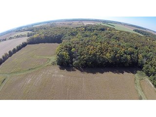 Tract 17 - LAND & REAL ESTATE AUCTION, 450+/- Acres offered in 17 Tracts of Highly Productive, Tillable Crop Land